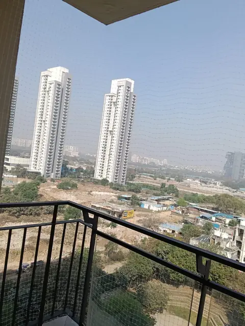 Bird net with open city view by Quality Anti Bird Net Services