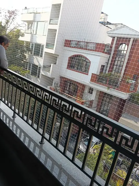 Bird net for a builder floor balcony by Quality Anti Bird Net Services