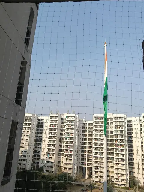 Pigeon net, apartment balcony by Quality Anti Bird Net Services